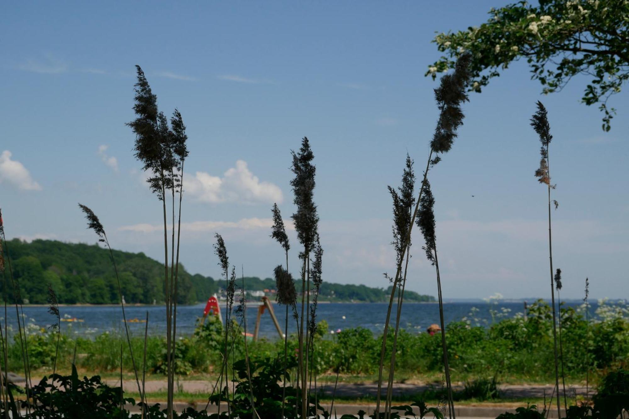 Ostsee, Wunderschoene Wohnung Mit Meerblick Harrislee Exterior foto